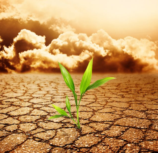 The Impact of Climate Change on Financial Markets and Investments