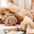 10 Reasons Why Your Pet Needs Acupuncture and Massage Therapy 