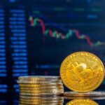 Daily Forex Trading Routines of Professional Traders